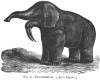 FIG. 8.DINOTHERIUM. (After Figuier.)