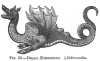 FIG. 52.DRACO &AElig;THIOPICUS. (<i>Aldrovandus</i>.)