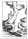 FIG. 54.THE PA SNAKE. (<i>From the Shan Hai King</i>.)