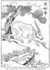 FIG. 84.THE SZ, OR MALAYAN RHINOCEROS. (<i>From the Rh Ya</i>.)