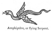 Amphipt&egrave;re, or flying Serpent.