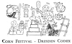 CORN FESTIVALDRESDEN CODEX